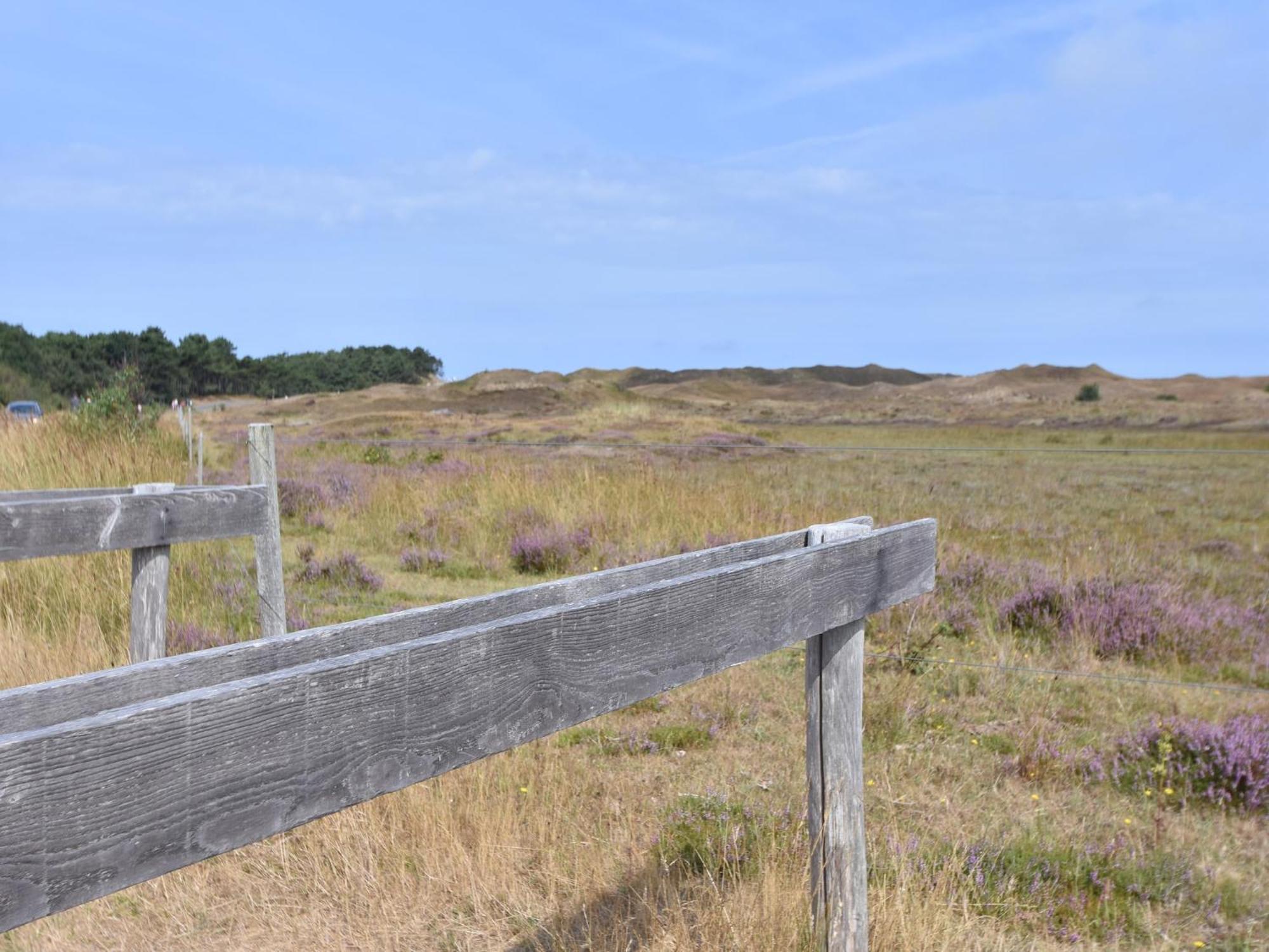 Lovely Holiday Home In Texel Near Sea Oost  Exterior foto